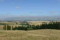 24 Ouest de Geraldine (Route 72) B