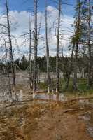 24 Lower Geyser Basin