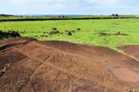 09 Pétroglyphes - Pirogue double - Papa Vaka