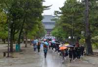 036 Todai-ji (Ecoliers)