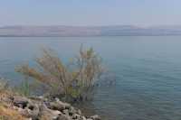 88 Le rivage du lac à Capharnaüm près de la maison de Pierre