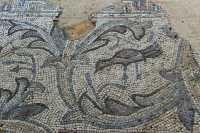 40 Mosaïque byzantine (7°S) Horbat Pi Mazzuva