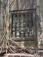 42-Balustre & racines