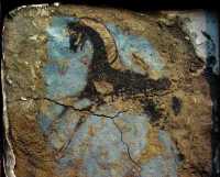 35 Erebuni - Cheval Urartu