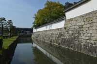 003 Château Nijo-jo (Douves)