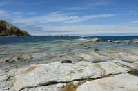 041 Otarie (lion de mer) - Péninsule de Kaikura