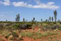 01 Près du Kata Tjuta