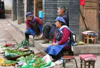 35 Légumes du jardin