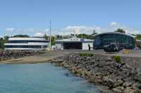 63 Auckland - Hélipor