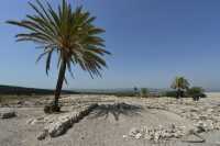 62 Quartier assyrien (732-630)