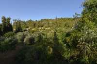 36 Ein-Karim (Près du monastère russe)