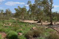 41 Lit de rivière avant Ellery Creek B