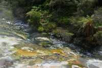 099 Ruisseau (Waimangu)