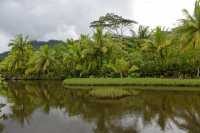 082 Entre Fetuna et Vaiaau