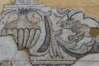 44 Mosaïque byzantine (7°S) Horbat Pi Mazzuva