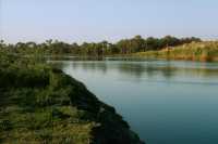 380 L’Euphrate à Babylone