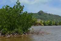 124 Palétuviers - Baie de Povai