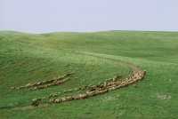 668 Bavian - vallée