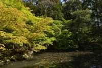 52 Temple Nanzen-ji (Jardin)