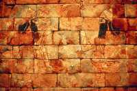 571 Briques émaillées