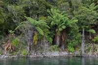 129 Rive du lac Rotomahana