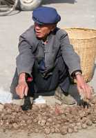 33 Marchand de pommes de terre