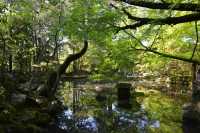 55 Temple Nanzen-ji (Jardin)