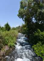 96 La rivière Hermon