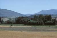 088 Entre Konya & Antioche de Pisidie