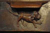 090 Stalle - Drôle de chien