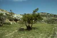 19 Bethléem grottes