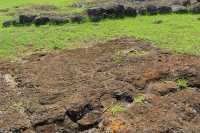 40 Pétroglyphe à Tongariki (Papa Tataku Poki)