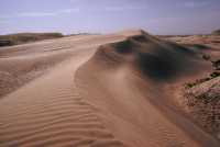 052 Nippur - Quartier Ouest