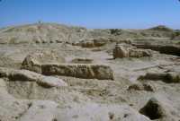 788 Mari, temple de Dagan