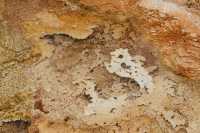 39 Mammoth Hot Spring Terraces