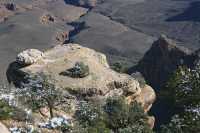 24 Gd Colorado Neige