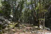 39 Quailburn Track (Benmore Run, Ahuriri Park)