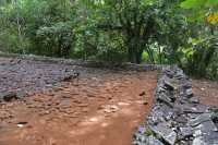 31 Est du Marae Afareaito (Vallée d'Opunohu)