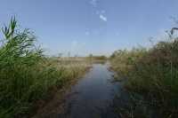 58 Le lac de Tibériade près de Magdala