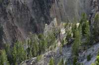 39 Yellowstone River Canyon ()