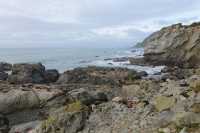022 Otaries - Ohau Point Seal Colony