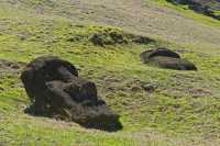 37 Moai sur la pente du volcan