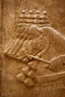 612 Korsabad, équipage de chevaux