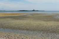 31 Saint-Vaast vu de Morsalines