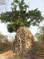 52-Prasat Yeay Peau **