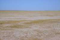 430 Désert ouest de Cunaxa