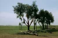 625 Ninive - Ex. centre ville