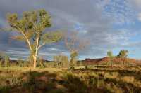 71 Près de Kings Creek B*