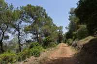 50 Sur les pentes du Mont Thabor