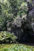 043 Grotte Teanateatea